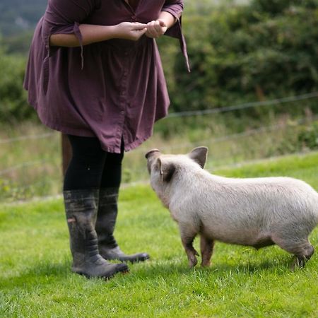 Cwtch Farm Bed & Breakfast Ystalyfera 외부 사진