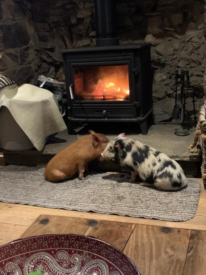 Cwtch Farm Bed & Breakfast Ystalyfera 외부 사진