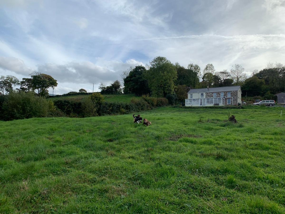 Cwtch Farm Bed & Breakfast Ystalyfera 외부 사진