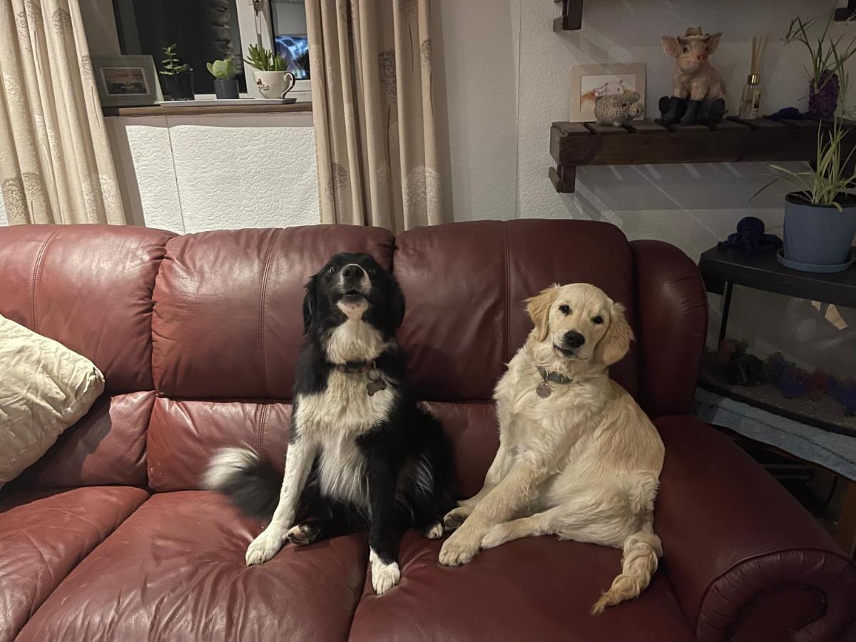 Cwtch Farm Bed & Breakfast Ystalyfera 외부 사진