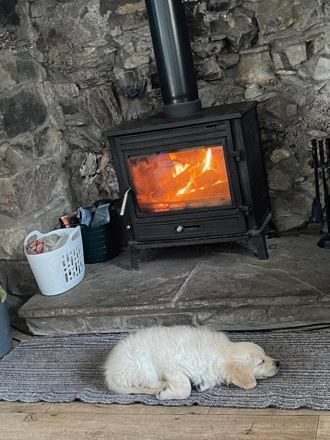 Cwtch Farm Bed & Breakfast Ystalyfera 외부 사진